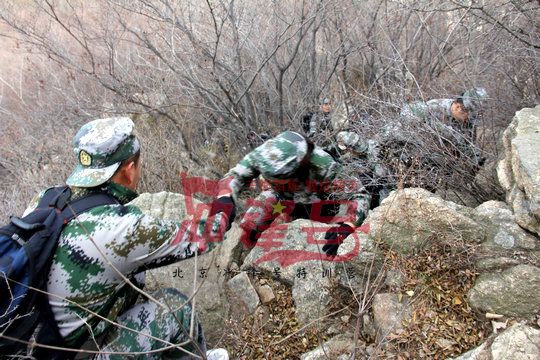 北京军训：立即行动，在果敢中成长